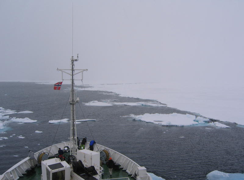 At the edge of the pack-ice